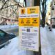 В Ярославле могут ввести бесплатные парковки по выходным