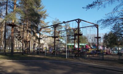 В парке 30-летия Победы Ярославля восстановят испорченные газоны