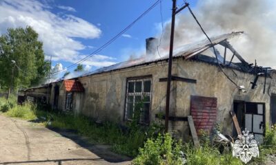 Два пожара в Ярославской области оказались поджогами