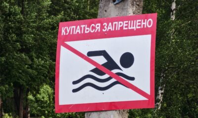 Официальные пляжи Ярославля не прошли проверку качества воды