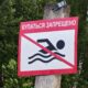 Официальные пляжи Ярославля не прошли проверку качества воды