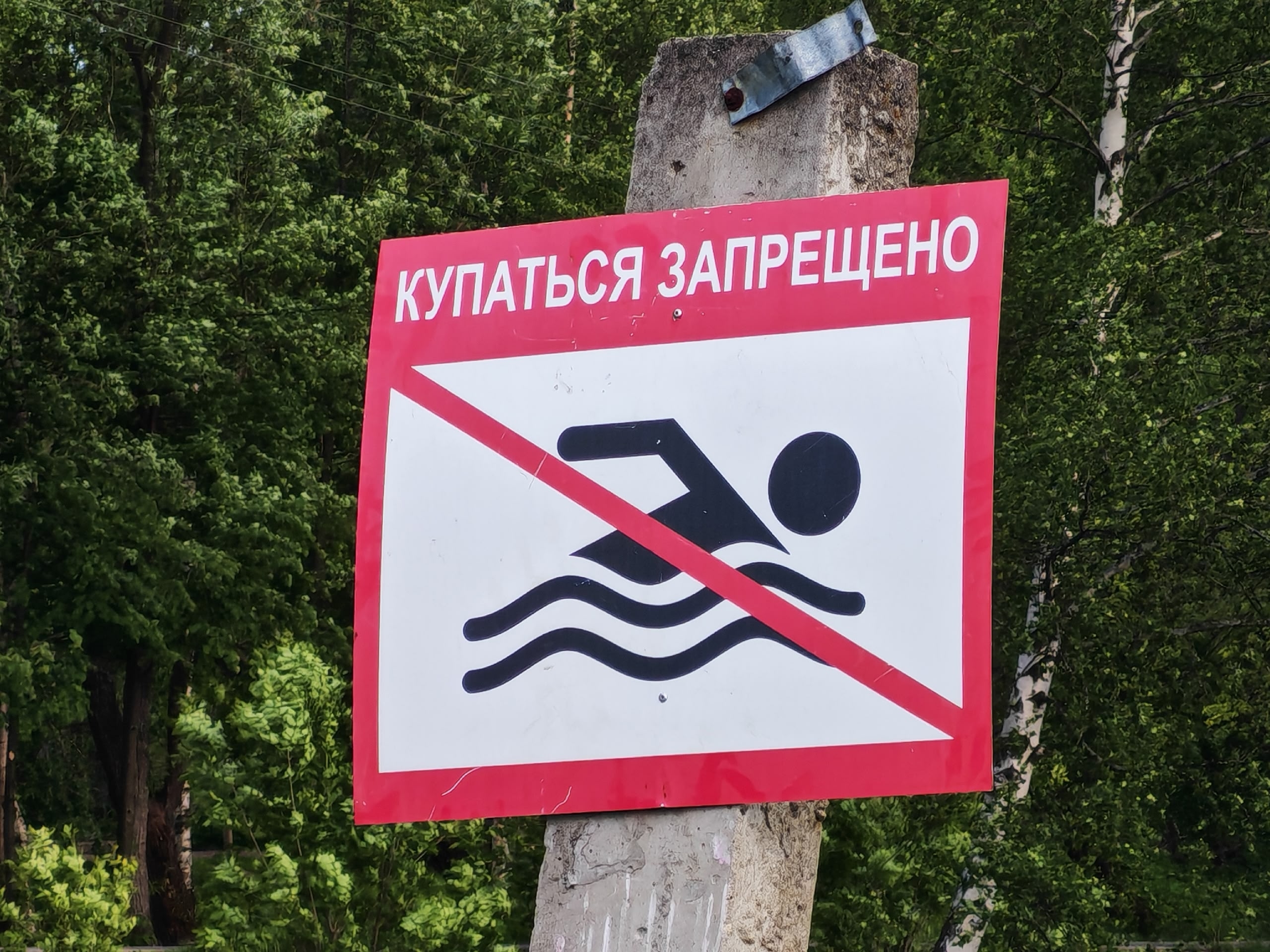Официальные пляжи Ярославля не прошли проверку качества воды