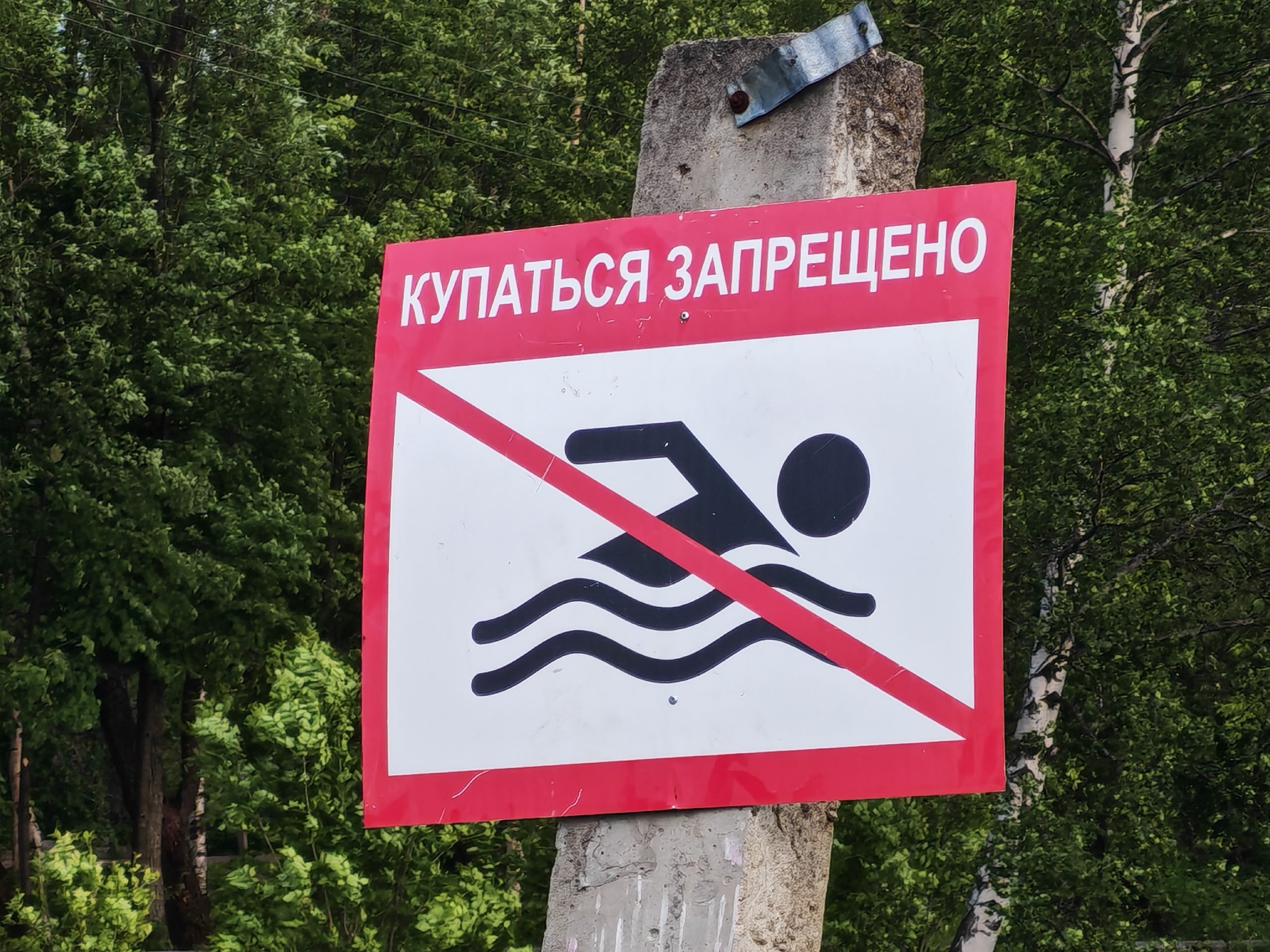 Со дна ярославских пляжей поднимают опасный мусор
