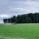 Аграриям Ярославской области выделят 35 миллионов рублей
