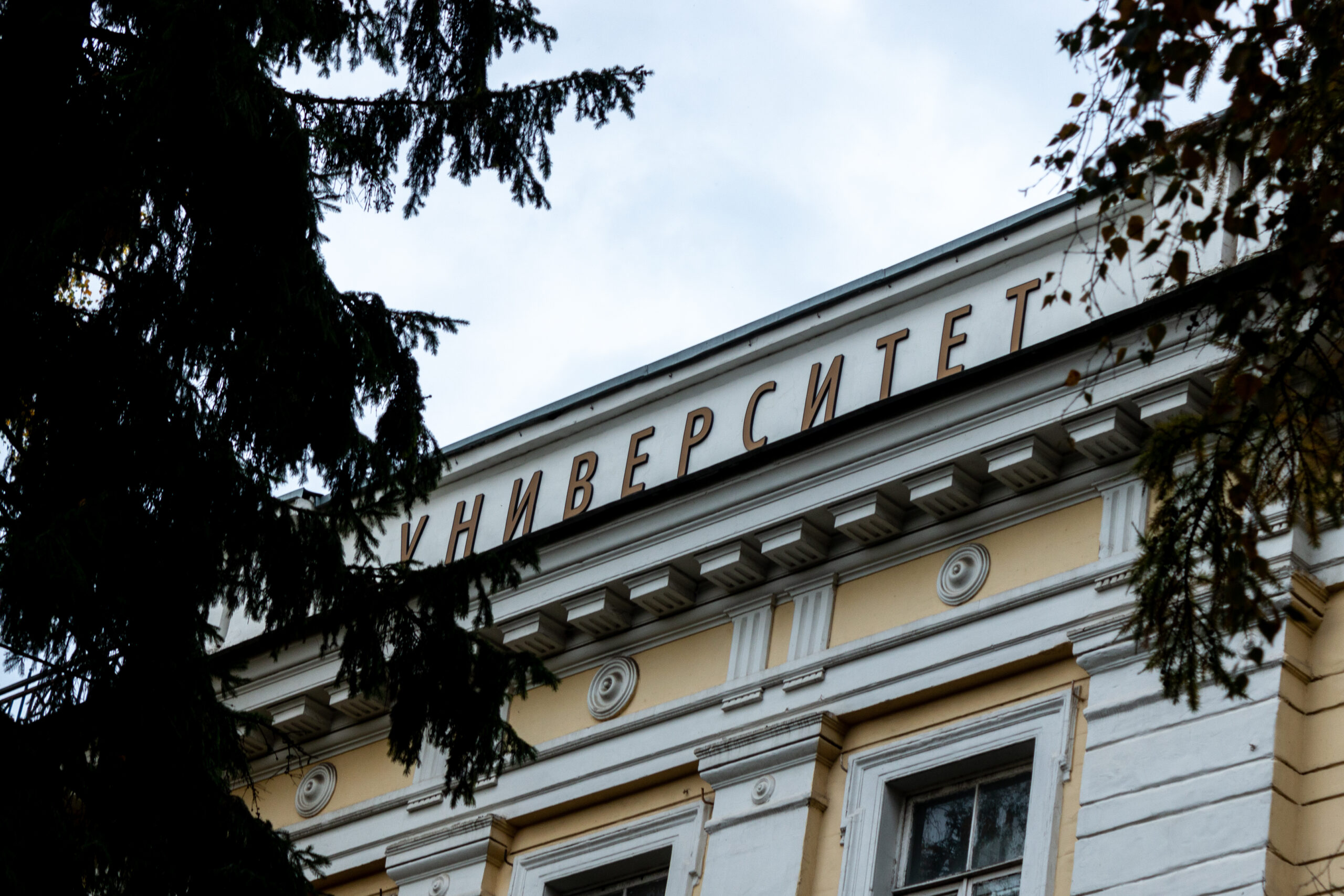Инициативы ярославских преподавателей получат гранты