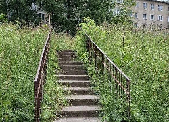 В Ярославле жители Суздалки пожаловались на заросли травы и опасные дворы