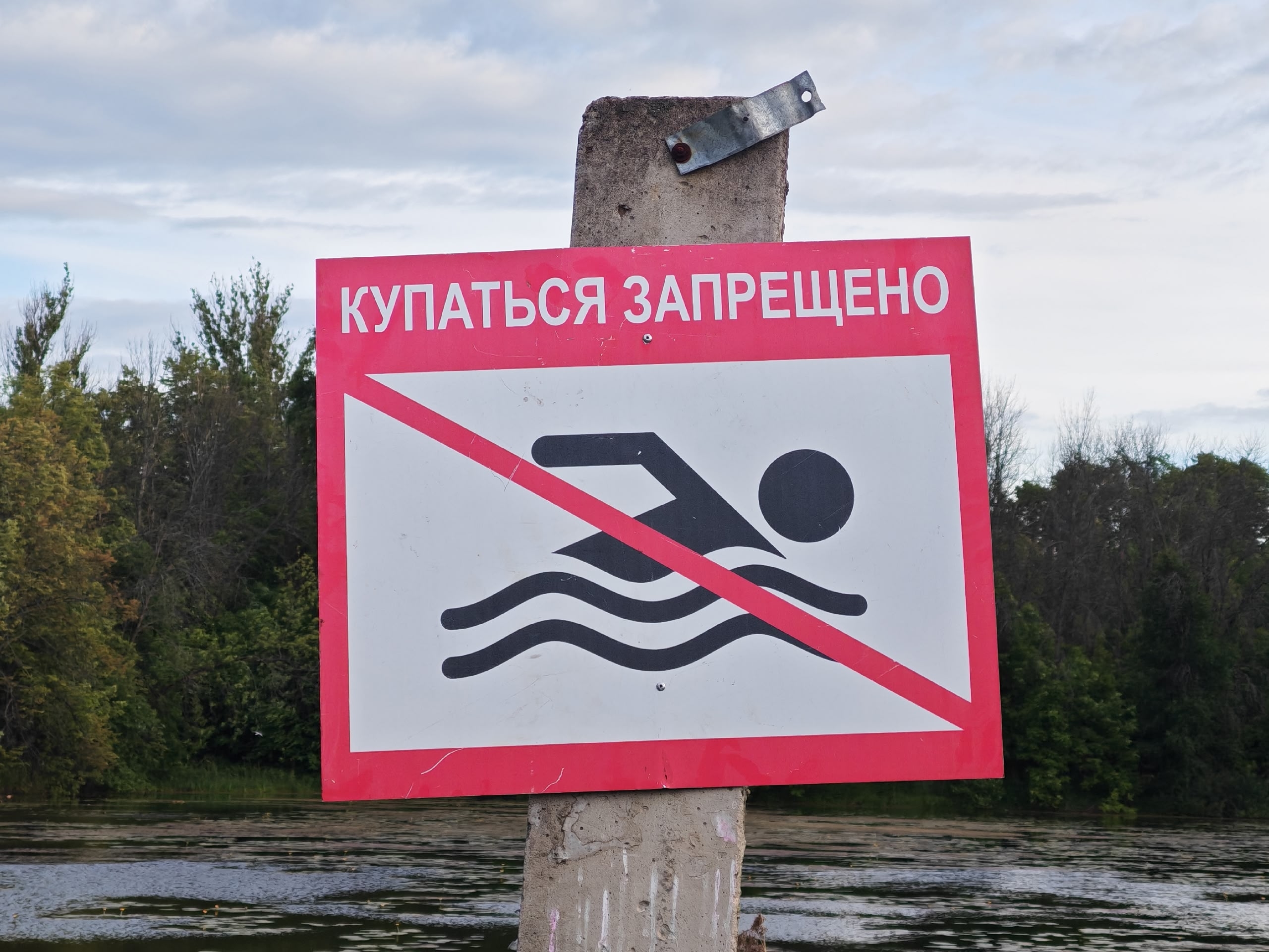 На двух пляжах Ярославля обнаружили опасную воду