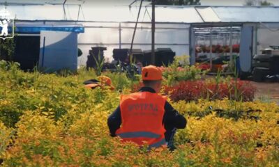 В Ярославле подростки вышли на летнюю подработку