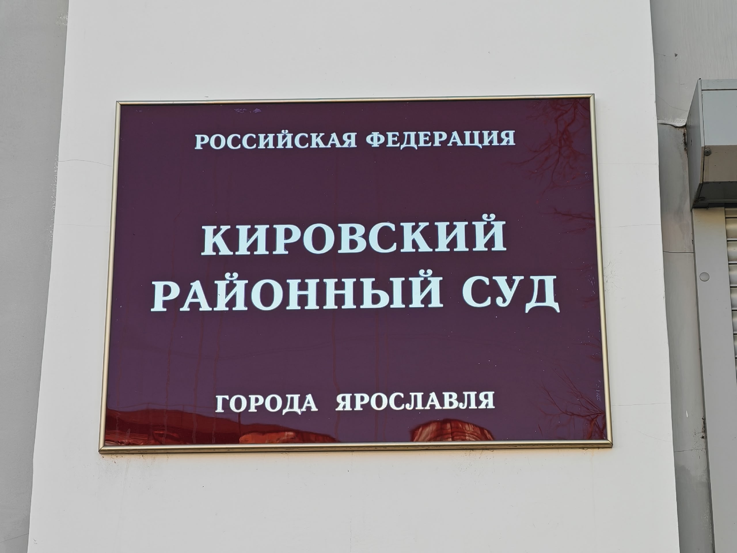 Ярославна отсудила 650 тысяч за упавшее дерево
