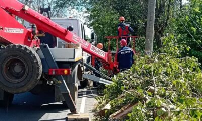 В Ярославской области восстановили электроснабжение после непогоды
