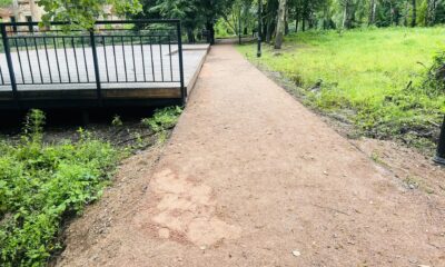Власти устранили последствия проливных дождей в Петропавловском парке