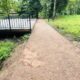 Власти устранили последствия проливных дождей в Петропавловском парке