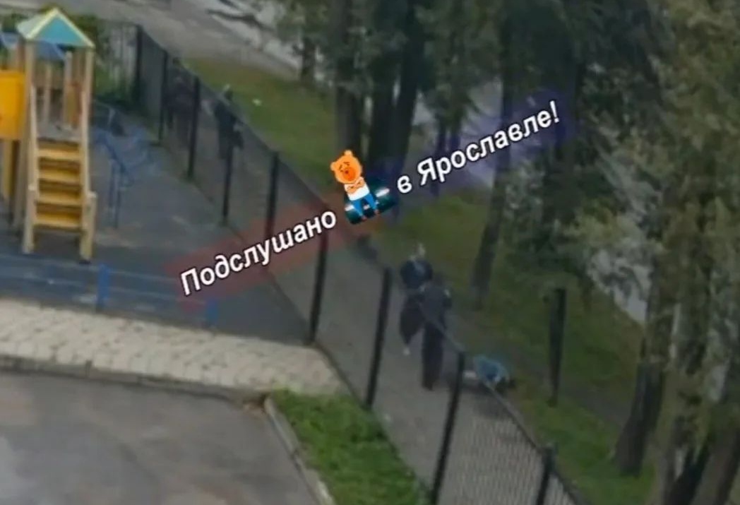 Напавшего на женщину ярославца задержали
