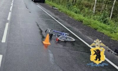 В Ярославской области насмерть сбили велосипедистку
