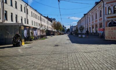 Власти пообещали сохранить деревья при ремонте улицы Кирова в Ярославле