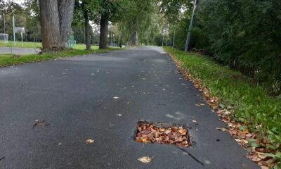 В Любиме объяснили исчезновение «лап» с «Медвежьей тропы»