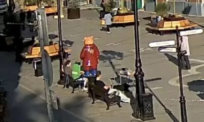 В Ярославле ищут вандала, испортившего нового медведя
