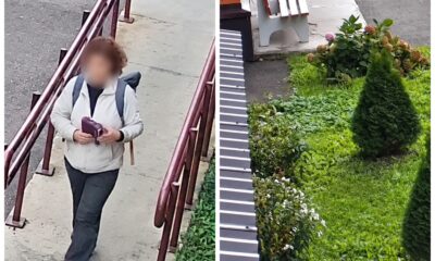 В Ярославле жители заметили похитительницу гортензий