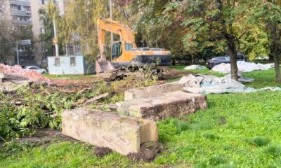 Ярославцы обеспокоились судьбой деревьев в Лесном сквере