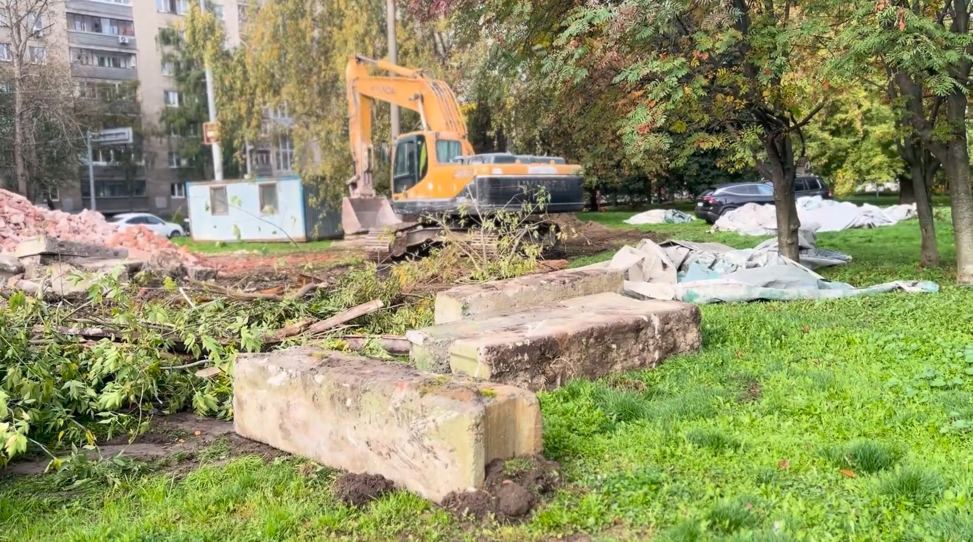 Ярославцы обеспокоились судьбой деревьев в Лесном сквере