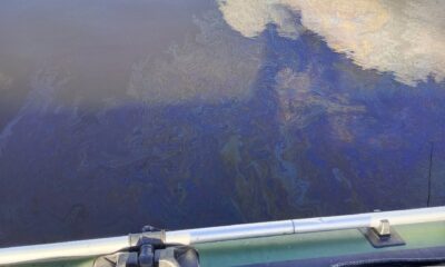 На Рыбинском водохранилище заметили следы возможного разлива нефтепродуктов