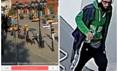 В Ярославле нашли вандала, испортившего фигуру медведя на Депутатской улице