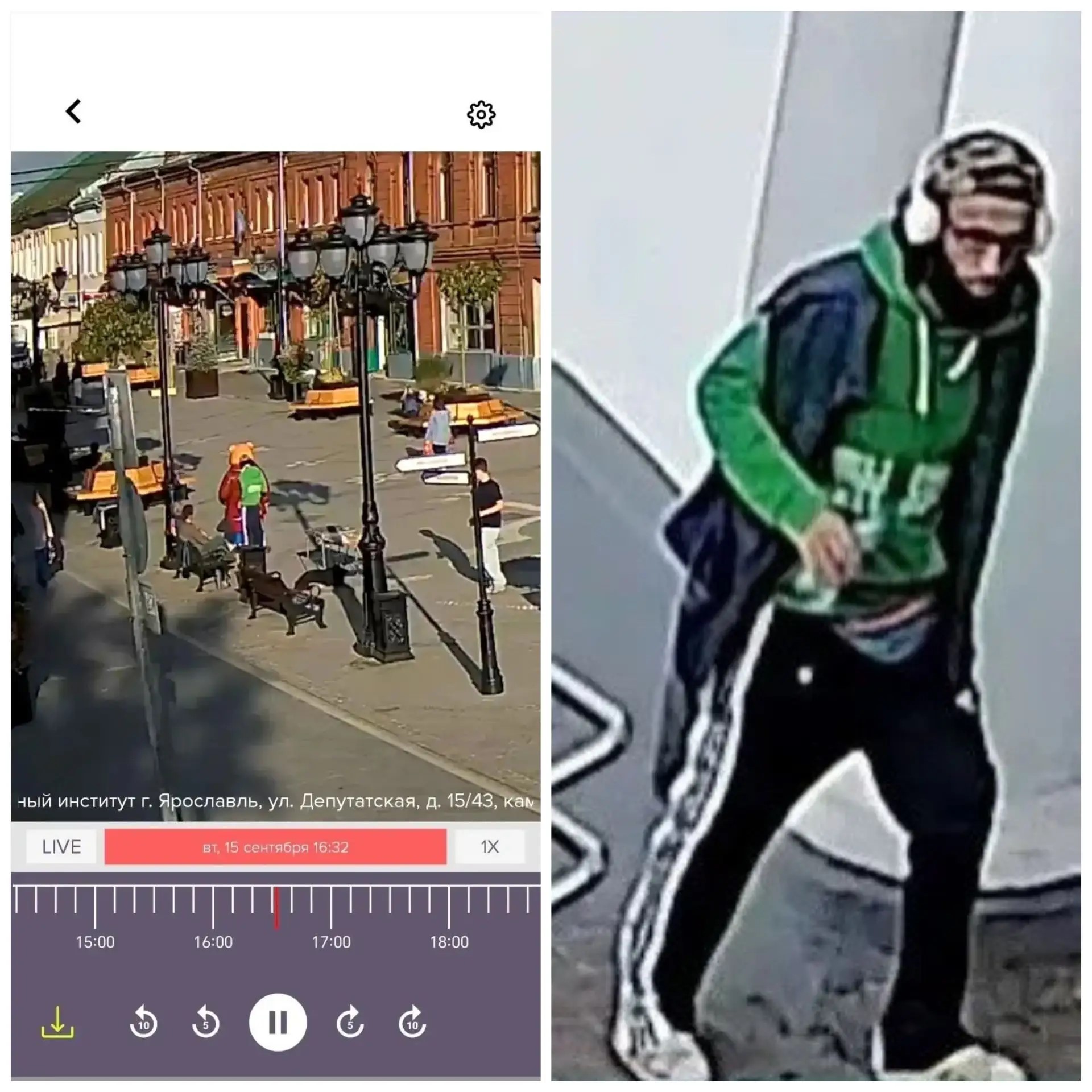 В Ярославле нашли вандала, испортившего фигуру медведя на Депутатской улице