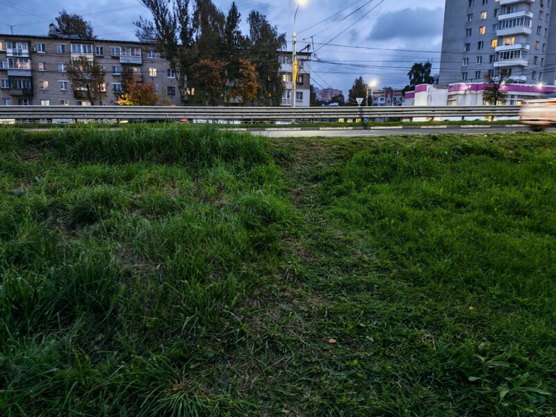 Протоптанная тропинка в траве у дороги с жилыми домами в Ярославле