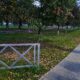 Жители Ярославля протоптали обходы у перекрытой «вечной» тропинки