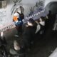 В Ярославле нашли одного из разрисовавших арку вандалов