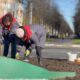 В Ярославле начали высаживать тюльпаны к весне