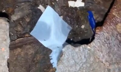«В душе ползают муравьи»: мать студентки пожаловалась на общежитие в Рыбинске